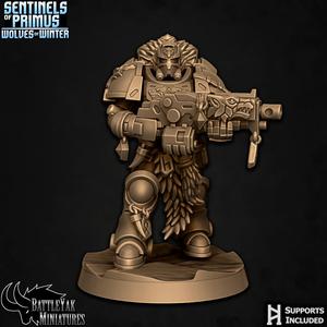 Knight-Sentinel Vigilant C