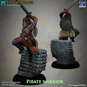 Pirate Warrior