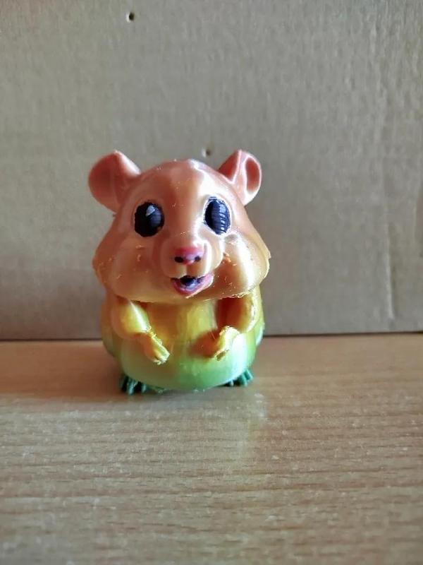 Rainbow cute Hamster   