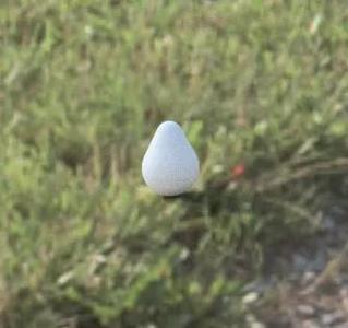 Egg container   