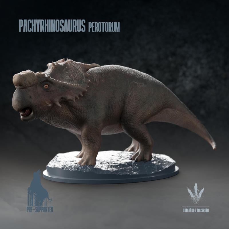 Pachyrhinosaurus perotorum: The Thick-nosed Lizard from Alaska