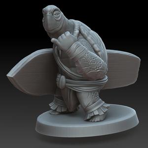 Sea Tortle Villager (surfer)