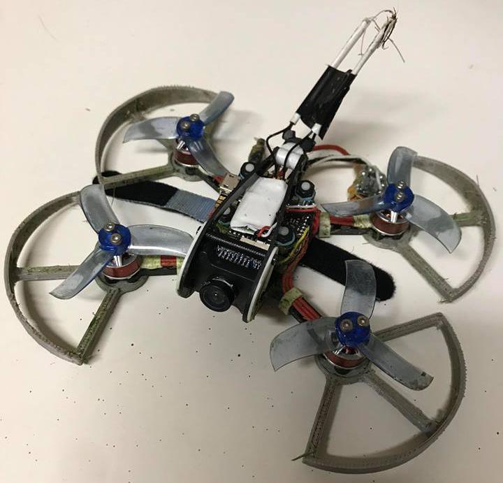 Diatone GT R90 Prop guard