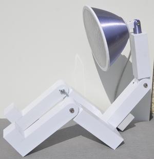 Mr. Lamp-Ion