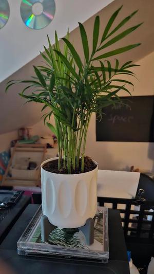 Yet anothe planter   
