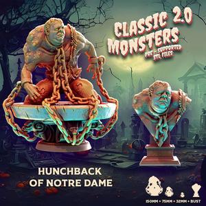 hunchback of notre dame + bust