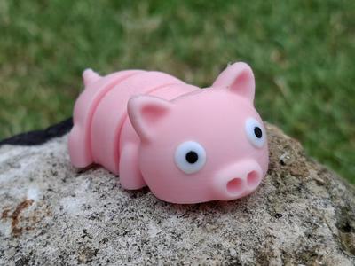 Cute Flexi pig