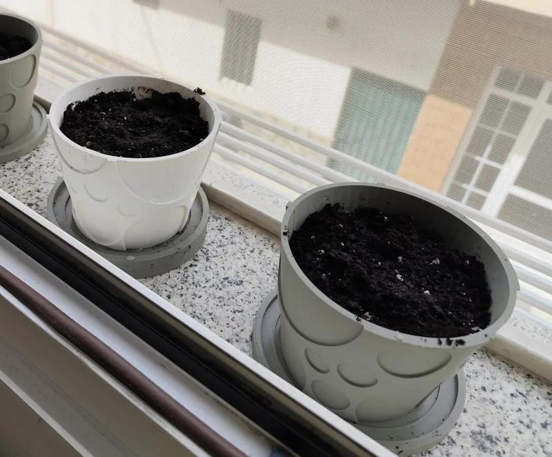 Plato para maceta / Pot saucer   