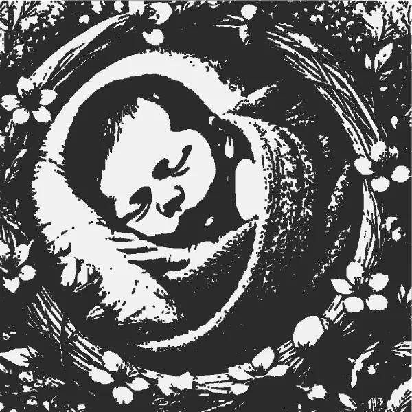 Newborn baby! Suitable for both boys and girls!   