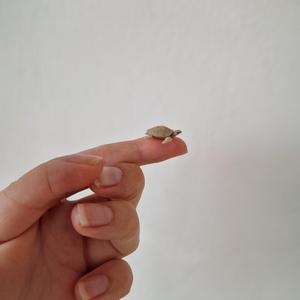 20mm Flexi Turtle – World’s First Smallest FDM Articulated Model