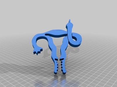 Bird Uterus