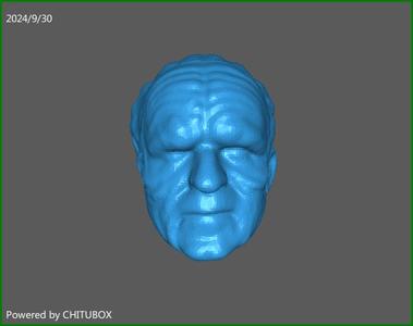 Palpatine Emperor Sith Style Head