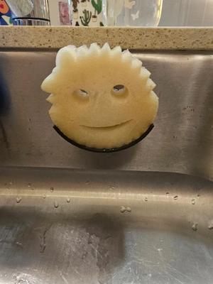 Scrub Daddy kitchen sink holder with suction cup   