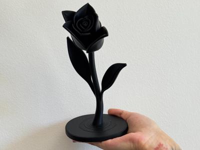 Elegant Minimalist Tulip with Leaves and Base