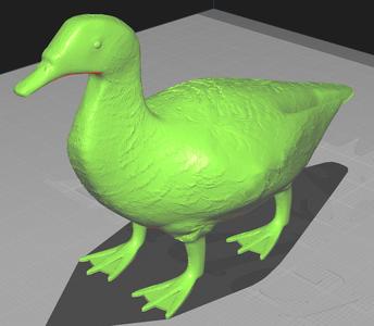 Duck with 4 legs