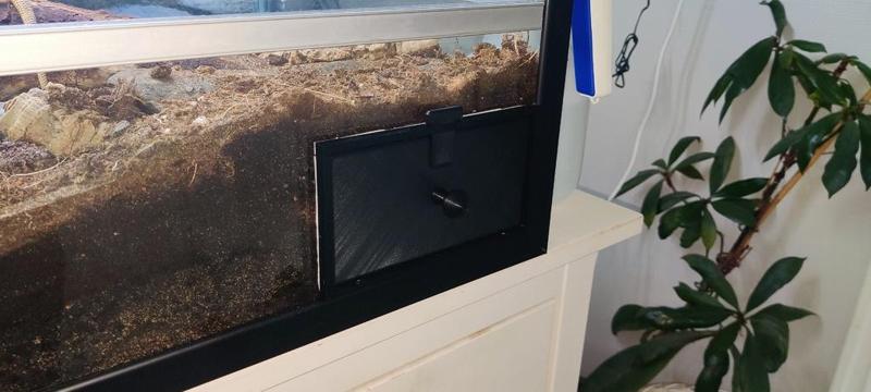 Viewing window for Isopods or other critters