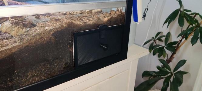 Viewing window for Isopods or other critters