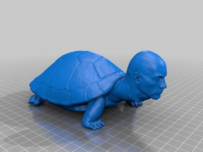 Dwayne the turtle johnson