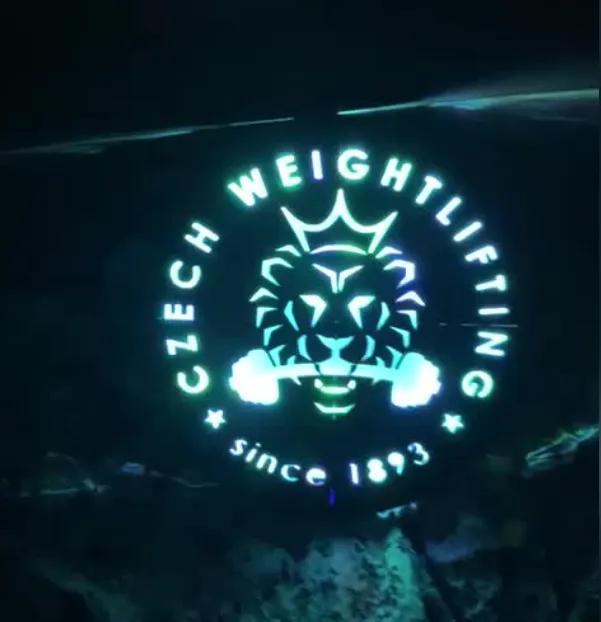 LED light logo lighting model   