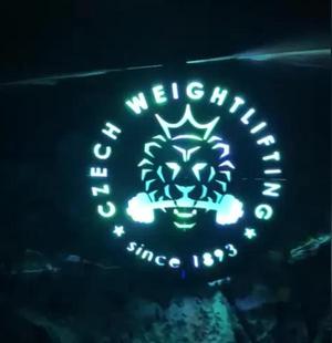 LED light logo lighting model   