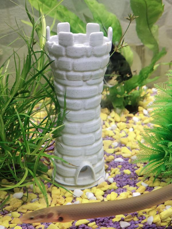 TWT Aquarium Watchtower