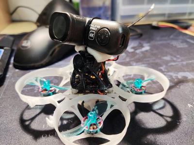 Ant Lite whoop canopy