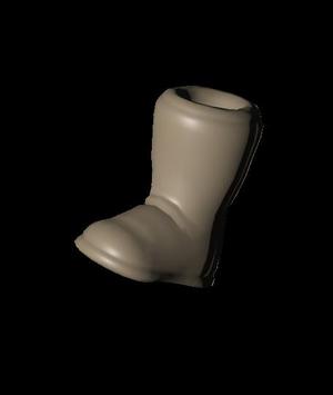 bota_um.glb