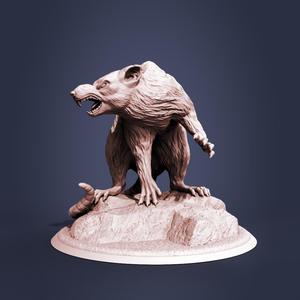 Giant rat