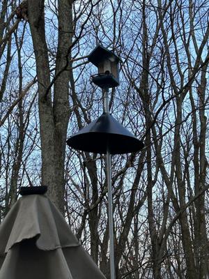 Bird Buddy mounting system and perch