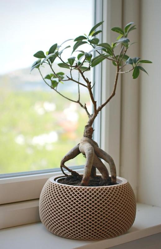 Wooden geometric planter