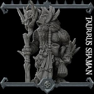 Taurrus Shaman (Tuskalnds)