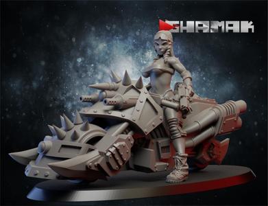 Pinup bike supports ready