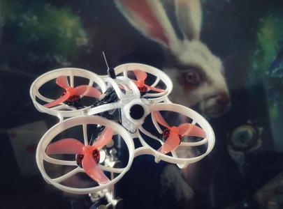 WS 1S lite canopy for Meteor 75 Pro