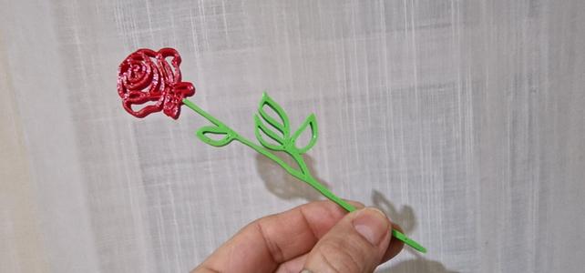 The Rose of Love  La Rosa del Amor