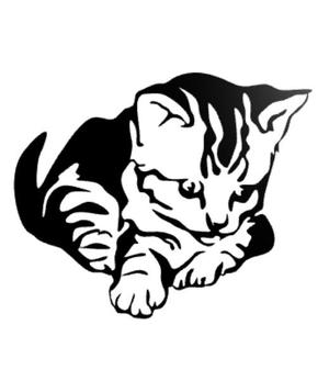 Cat wall decor