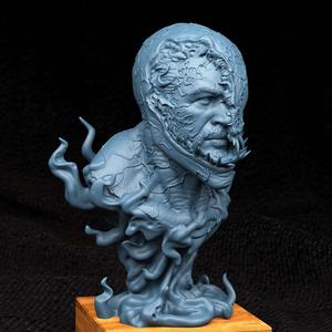 venum bust