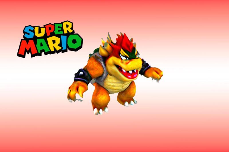 BOWSER MARIO BROS