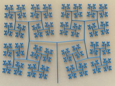 Branching pattern
