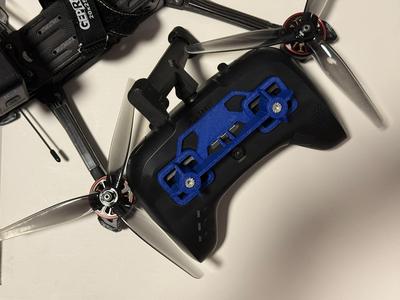 TBS Tango 2 sticks protection