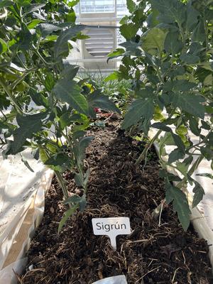 Simple sign for potted plants and gardening