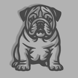 Bulldog Puppy