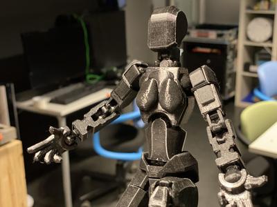 Dummy 13 - Female cyborg bust