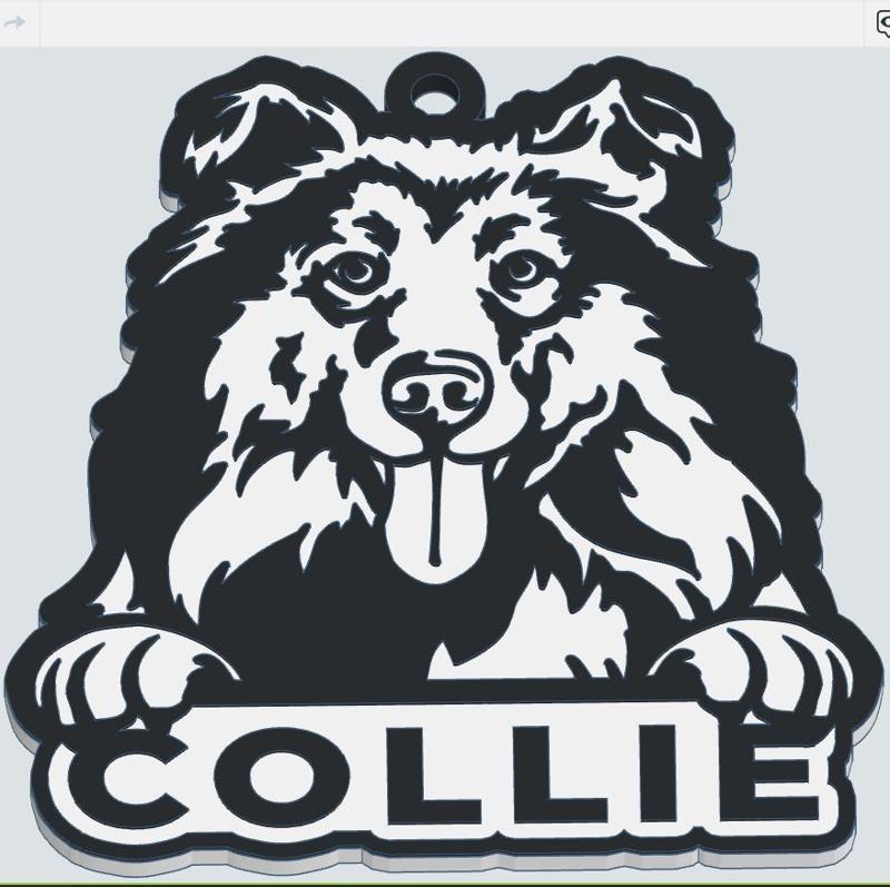 Collie keychain