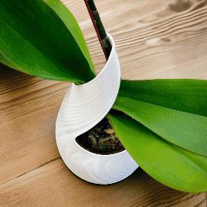 LEAF | Orchid Vase Planter
