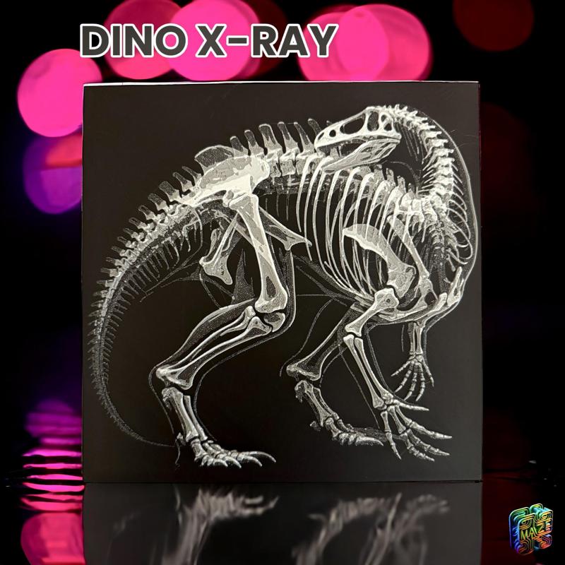 Dino X-Ray