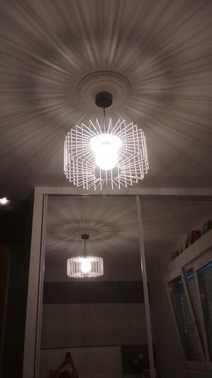 Large Radial Ceiling Lamp