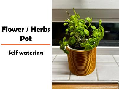 Flower / Herbs Pot | Self Watering
