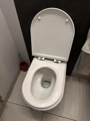 Roca Toilet Seat & Cover Hinges