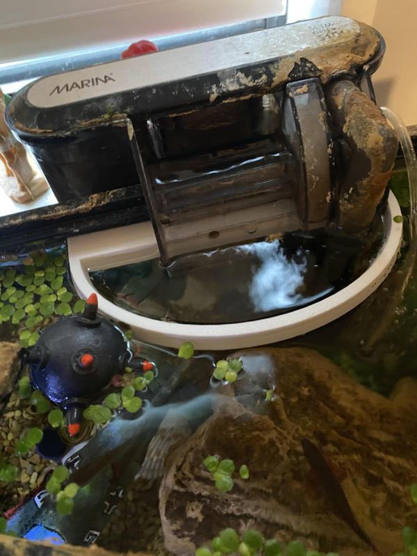 Fish Tank Filter Guard