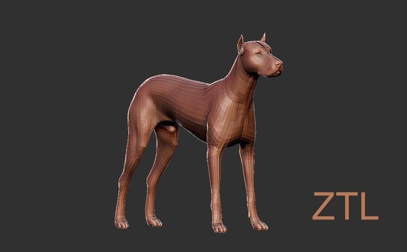 Dog